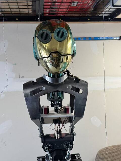 Head and torso