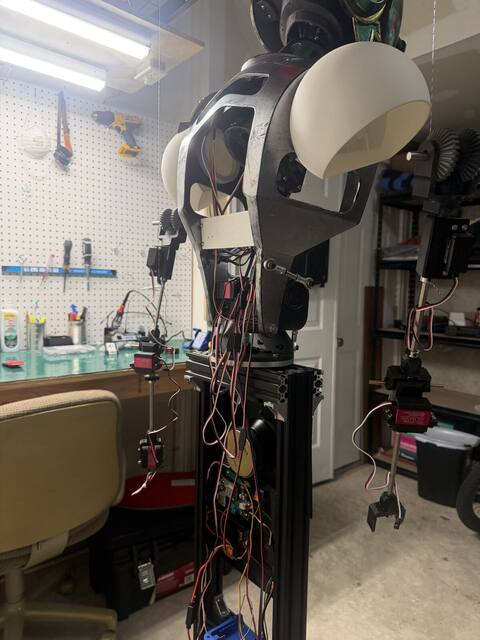 Whole robot side