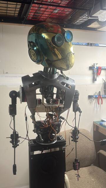Whole robot front